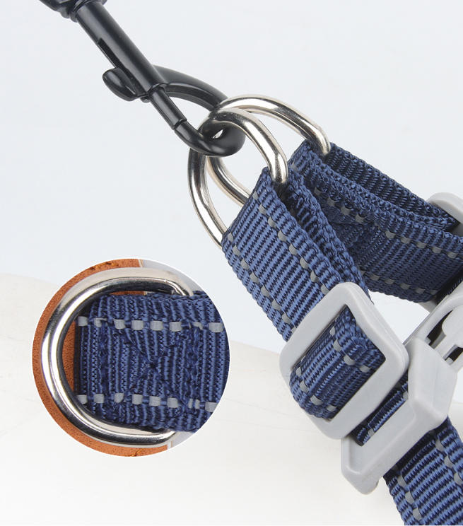 Dog collar style A detail image