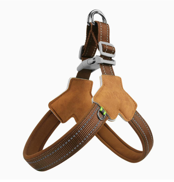 Dog collar style A product image