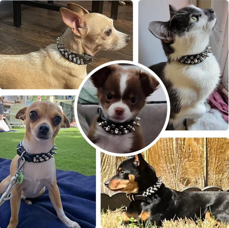 Pu dog collar style B detail image
