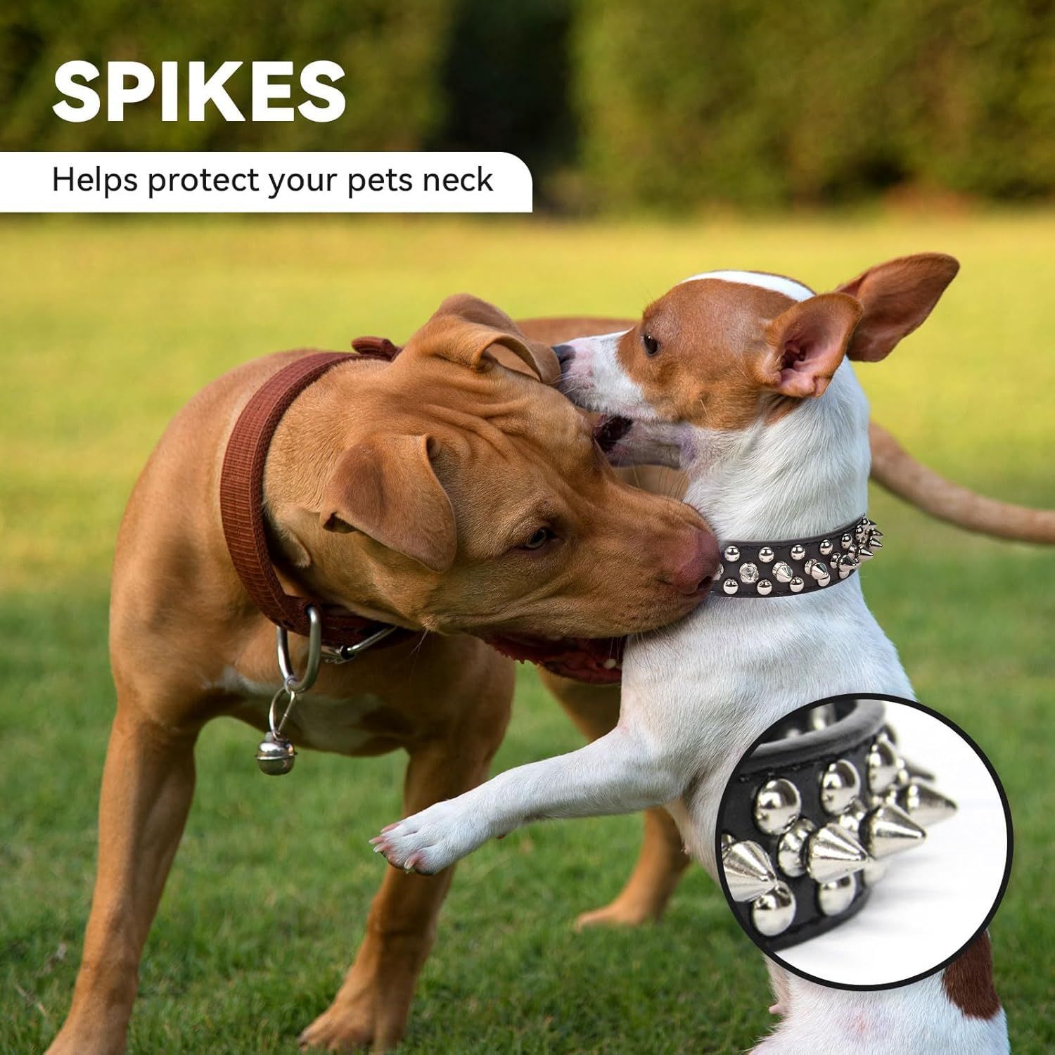Pu dog collar style B in use