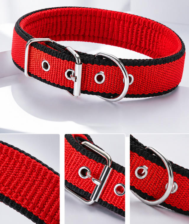 PP foam dog collar style D detail image