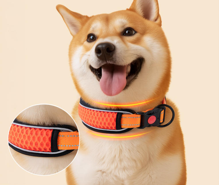 Dog collar style E detail image