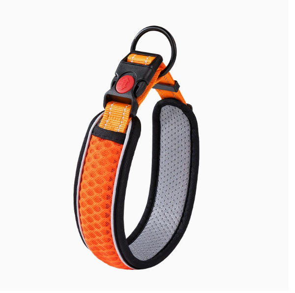 Dog collar style E product image