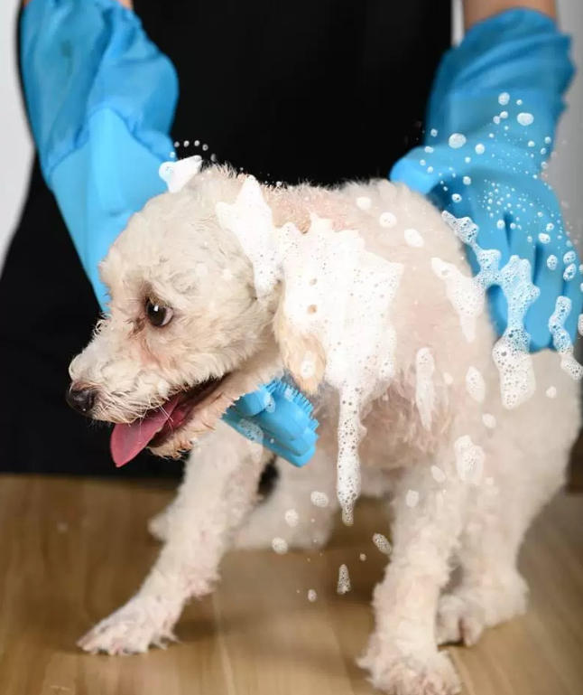 Pet grooming glove style B in use