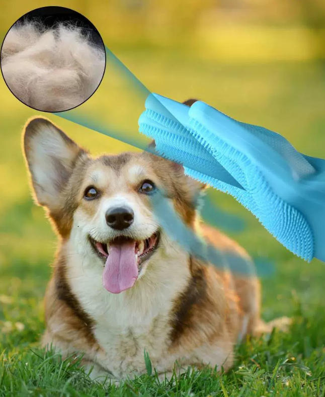 Pet grooming glove style B in use